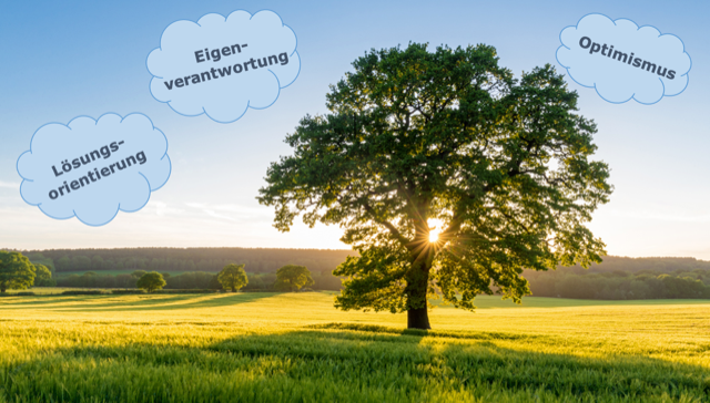 Sonne, die durch Bäume scheint dieses Foto zeigt Bäume, d